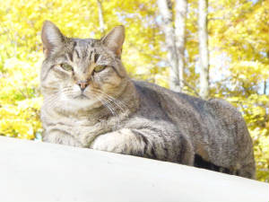 dsc00904.jpg
